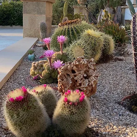 B&B Arbor Exclusive 우겐토