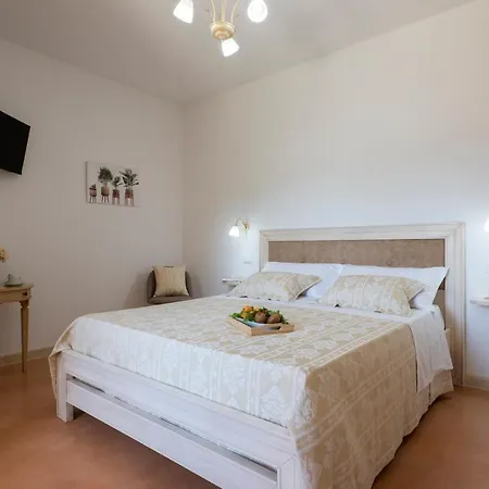 Arbor Exclusive أُجينتو