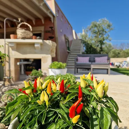 Arbor Exclusive Bed & Breakfast 4*