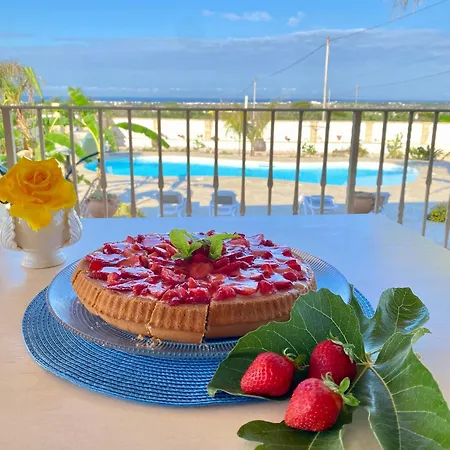 Arbor Exclusive أُجينتو