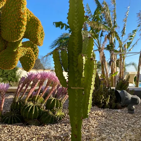 Arbor Exclusive Ugento