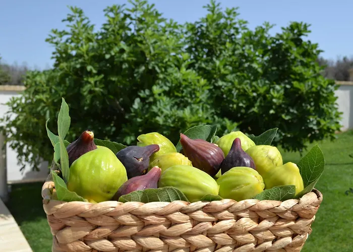 Bed & Breakfast Arbor Exclusive 4*