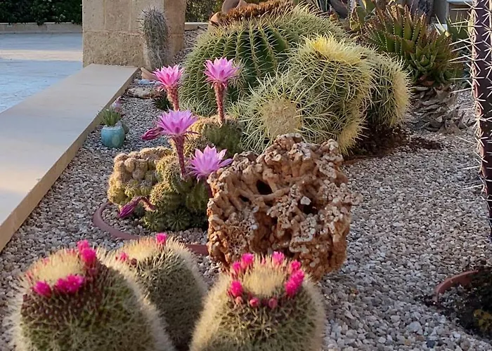 Bed & Breakfast Arbor Exclusive Ugento